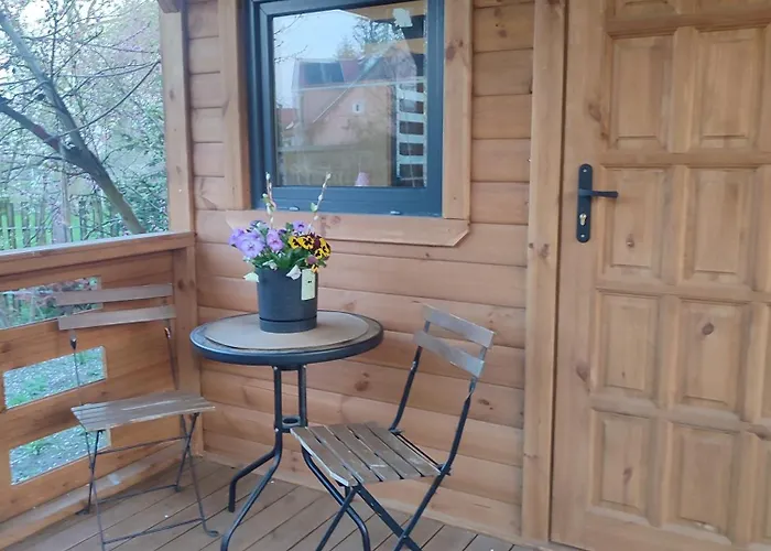 Pod Brzozami Pszczółki